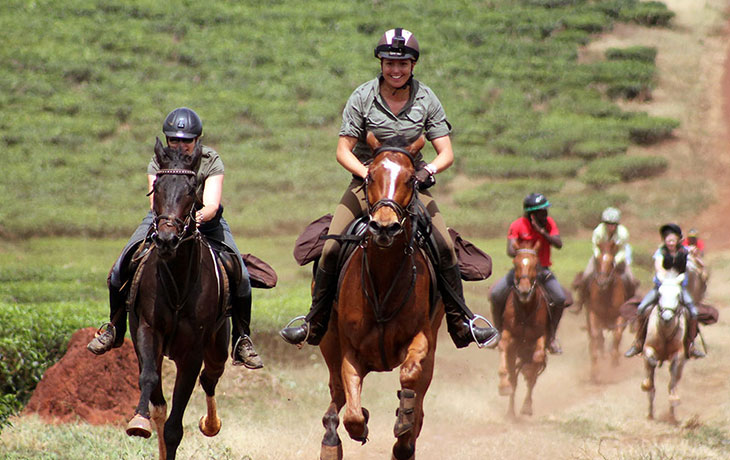 Horse riding jinja