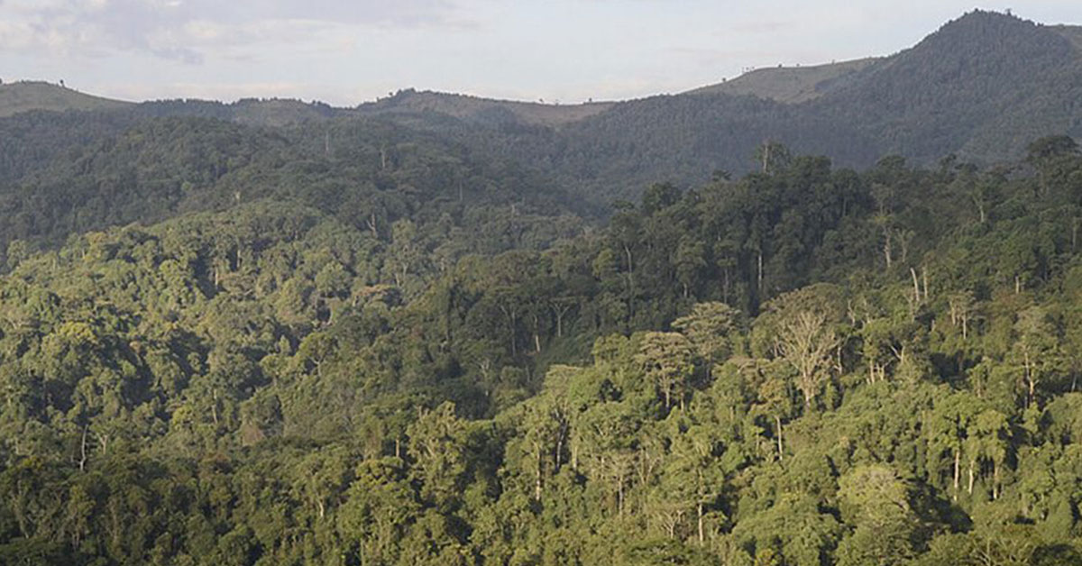 Gishwati Mukura National Park